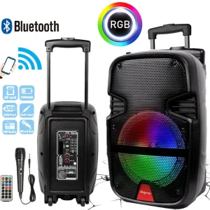 Wireless Portable Party Bluetooth Speaker With Microphone