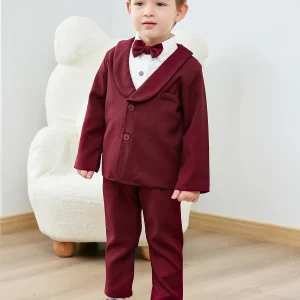 Toddler Boy Suit 5Pcs Outfits,